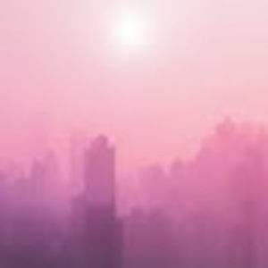 Meet your Posher, Coco